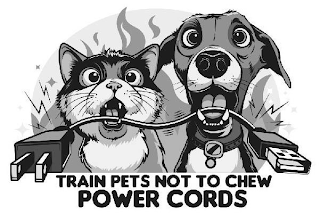 TRAIN PETS NOT TO CHEW POWER CORDS