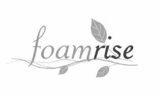 FOAMRISE