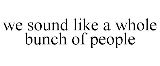 WE SOUND LIKE A WHOLE BUNCH OF PEOPLE