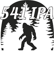 541 IPA