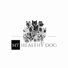 MY HEALTHY DOG