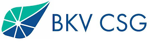 BKV CSG