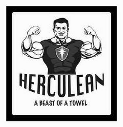 HERCULEAN A BEAST OF A TOWEL