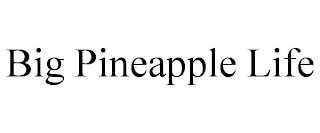 BIG PINEAPPLE LIFE