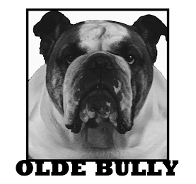 OLDE BULLY