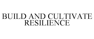 BUILD AND CULTIVATE RESILIENCE