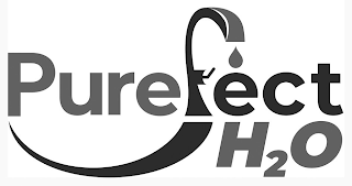 PUREFECT H2O