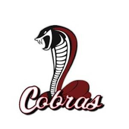 MIDDLEBORO COBRAS
