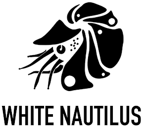 WHITE NAUTILUS