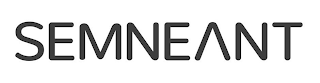 SEMNEANT