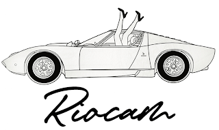 RIOCAM