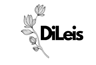 DILEIS