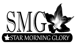 SMG STAR MORNING GLORY
