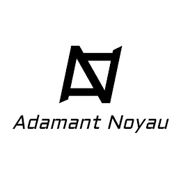 AN ADAMANT NOYAU