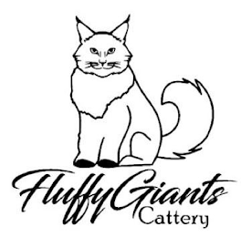 FLUFFY GIANTS CATTERY