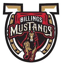 BILLINGS MUSTANGS