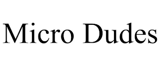 MICRO DUDES