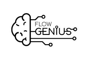 FLOW GENIUS