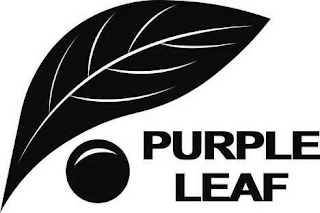 PURPLE LEAF