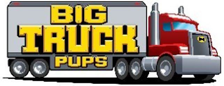 BIG TRUCK PUPS