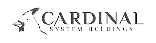 CARDINAL SYSTEM HOLDINGS