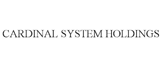 CARDINAL SYSTEM HOLDINGS