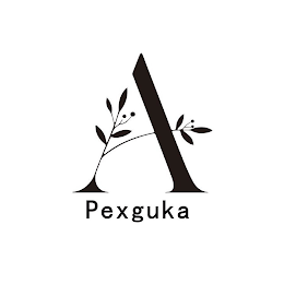 A PEXGUKA