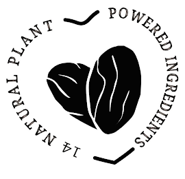 14 NATURAL PLANT POWERED INGREDIENTS