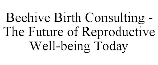 BEEHIVE BIRTH CONSULTING - THE FUTURE OF REPRODUCTIVE WELL-BEING TODAY