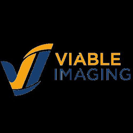 VI VIABLE IMAGING