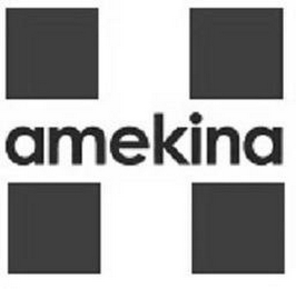 AMEKINA