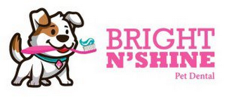 BRIGHT N'SHINE PET DENTAL