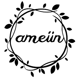 AMEIIN