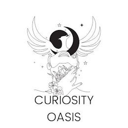 CURIOSITY OASIS