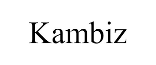 KAMBIZ