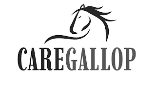 CAREGALLOP