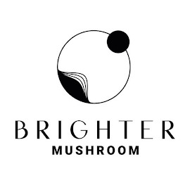 BRIGHTER MUSHROOM