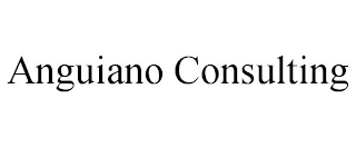 ANGUIANO CONSULTING