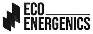 ECO ENERGENICS