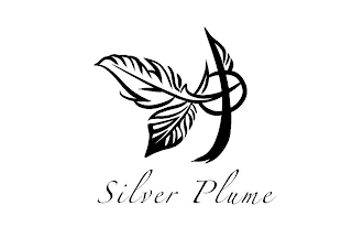 SILVER PLUME