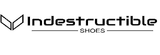 INDESTRUCTIBLE SHOES