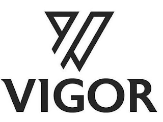 V VIGOR