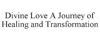 DIVINE LOVE A JOURNEY OF HEALING AND TRANSFORMATION