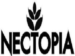 PT. KINO INDONESIA, TBK