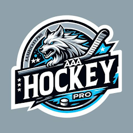 AAAHOCKEY.PRO AAA HOCKEY PRO