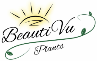 BEAUTIVU PLANTS