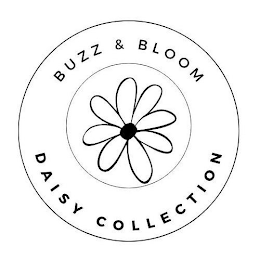 BUZZ & BLOOM DAISY COLLECTION