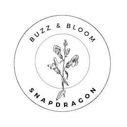 BUZZ & BLOOM SNAPDRAGON