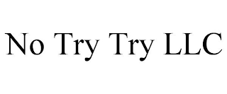 NO TRY TRY LLC