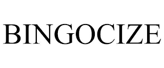 BINGOCIZE